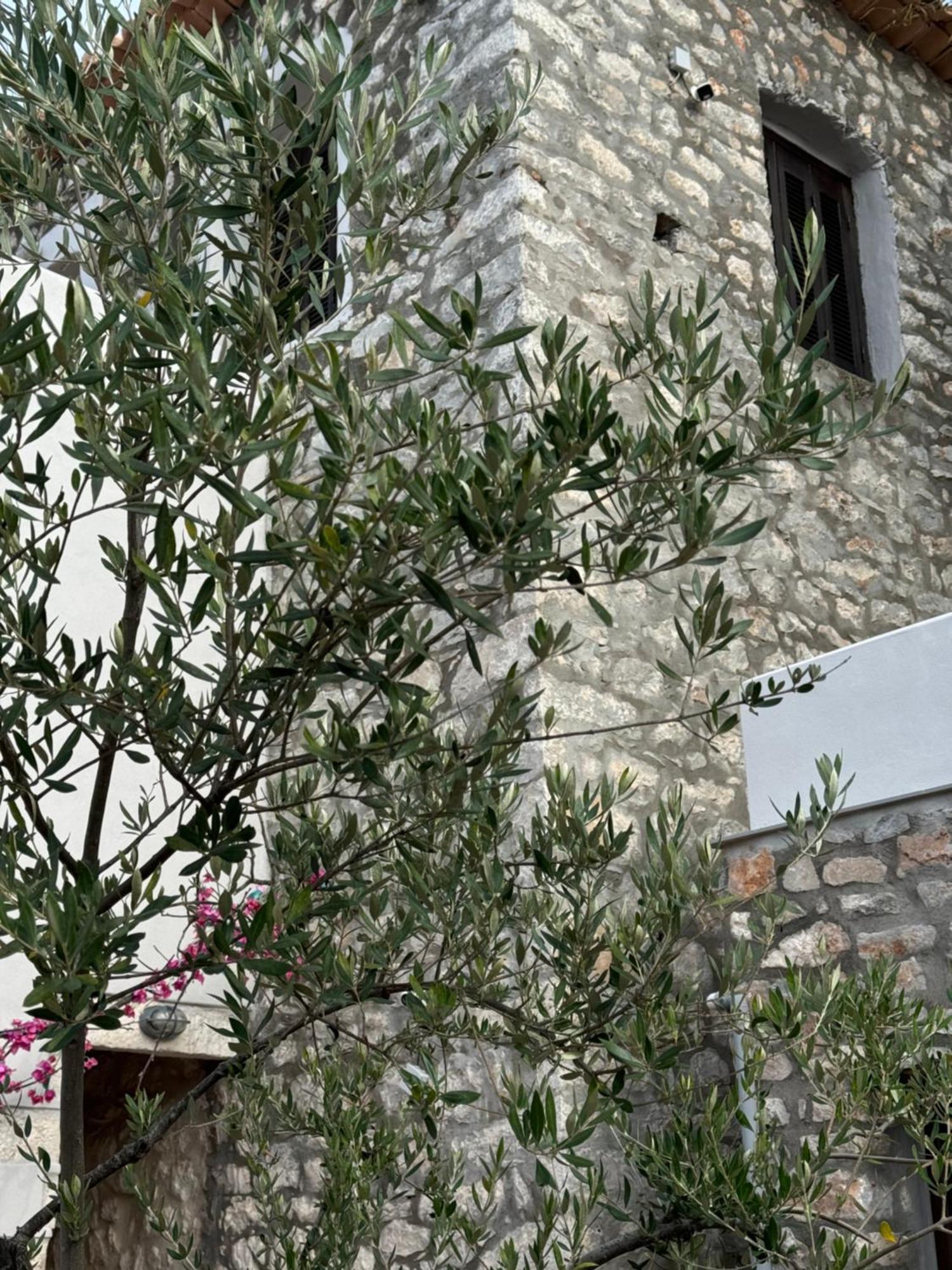Elia Luxury Rooms Areopoli Exterior photo